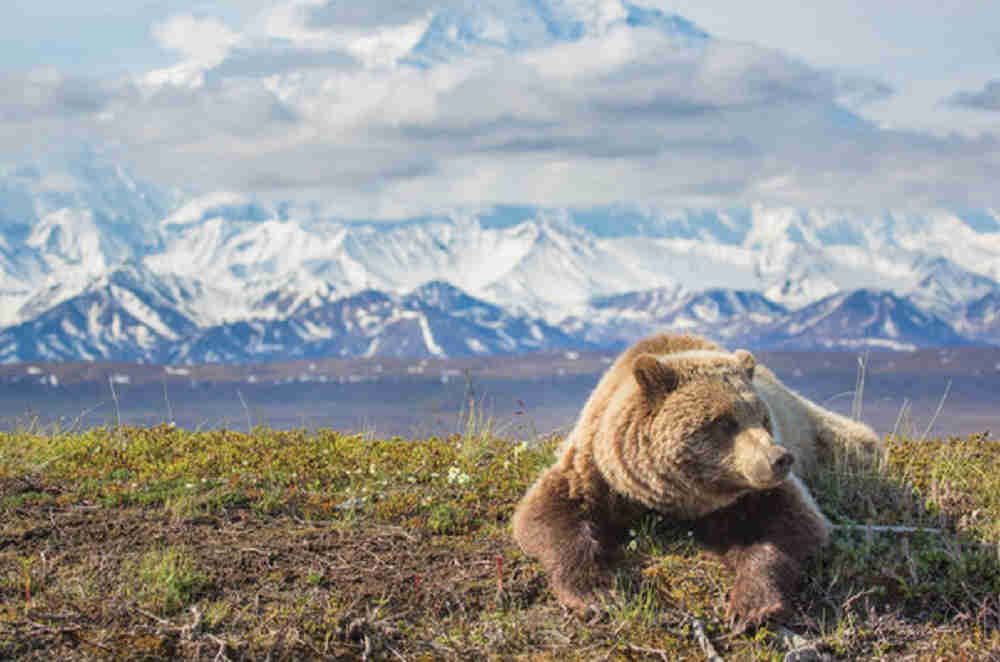 dove andare in viaggio di nozze a luglio alaska canada new york