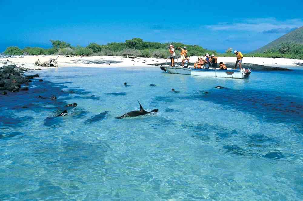 viaggio di nozze a luglio galapagos ecuador