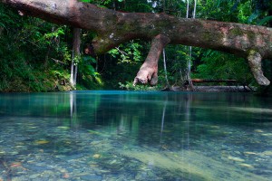 cooper_creek.jpg