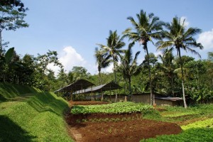 mesastila1.jpg